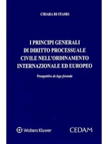PRINCIPI GENERALI DI DIRITTO PROCESSUALE CIVILE