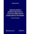 PRINCIPI GENERALI DI DIRITTO PROCESSUALE CIVILE