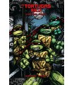 TORTUGAS NINJA: LA SERIE ORIGINAL VOL. 6 DE 6