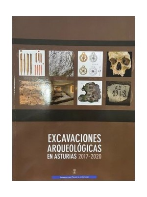 EXCAVACIONES ARQUEOLOGICAS EN ASTURIAS