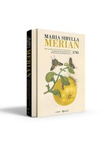 MARIA SIBYLLA MERIAN METAMORPHOSIS INSECTORUM 1705