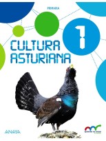 CULTURA ASTURIANA 1