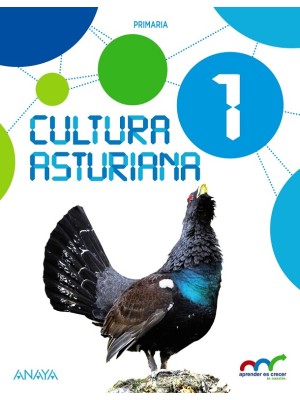 CULTURA ASTURIANA 1