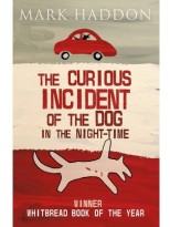 CURIOUS INCIDENT OF THE DOG IN THE NIGHT TIME