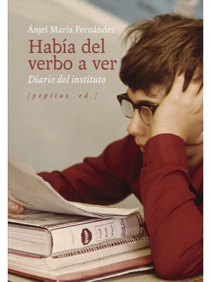 HABÍA DEL VERBO A VER