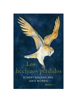 HECHIZOS PERDIDOS, LOS
