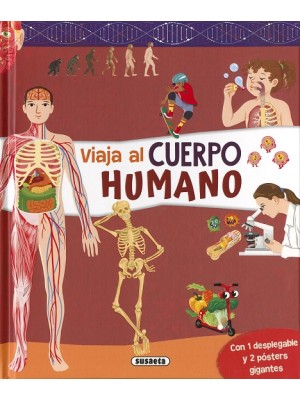 CUERPO HUMANO