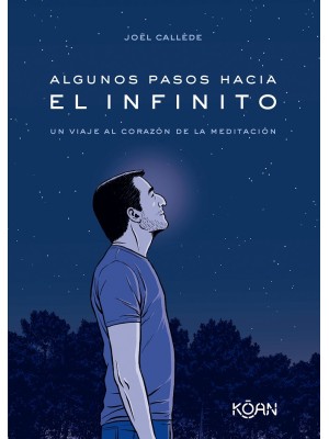 ALGUNOS PASOS HACIA EL INFINITO