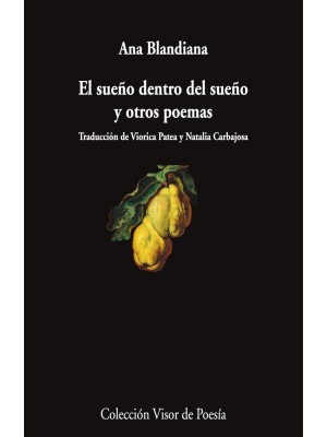 SUEÑO DENTRO DEL SUEÑO Y OTROS POEMAS, EL