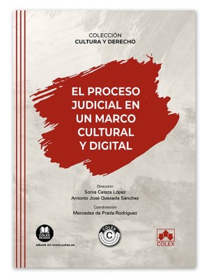 PROCESO JUDICIAL EN UN MARCO CULTURAL Y DIGITAL, EL