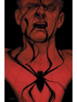 SPIDERMAN LA SOMBRA DE LA ARAÑA