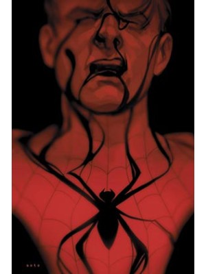 SPIDERMAN LA SOMBRA DE LA ARAÑA