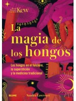 MAGIA DE LOS HONGOS