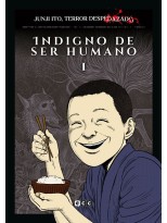 JUNJI ITO, TERROR DESPEDAZADO VOL. 17 - INDIGNO DE SER HUMANO 1