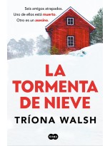 TORMENTA DE NIEVE