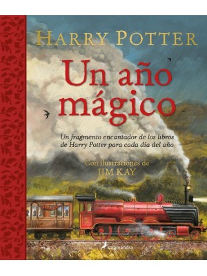 HARRY POTTER UN AÑO MAGICO