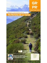 VÍA ROMANA DE LA CARISA