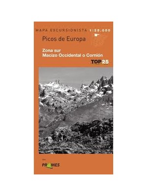 PICOS DE EUROPA ZONA SUR (MAPA)