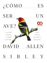CÓMO ES SER UN AVE? DE VOLAR A ANIDAR, DE COMER A CANTAR... ¿QUÉ HACEN LAS AVES