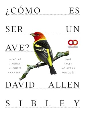 CÓMO ES SER UN AVE? DE VOLAR A ANIDAR, DE COMER A CANTAR... ¿QUÉ HACEN LAS AVES