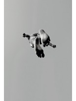 DIARIO DE ATERRIZAJE