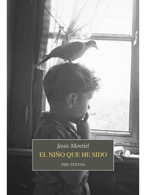 NIÑO QUE HE SIDO, EL