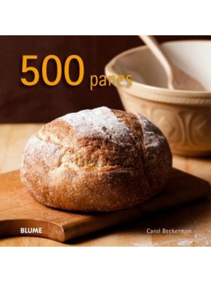 500 PANES (2024)