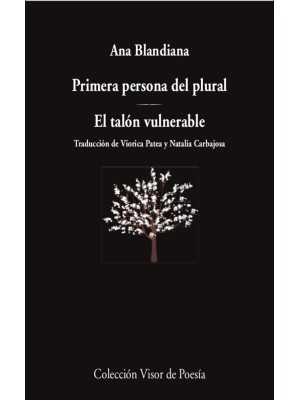 PRIMERA PERSONA DEL PLURAL / EL TALÓN VULNERABLE