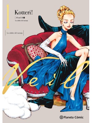 VEIL Nº 01