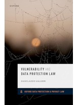 VULNERABILITY AND DATA PROTECTION LAW