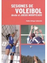 SESIONES DE VOLEIBOL.