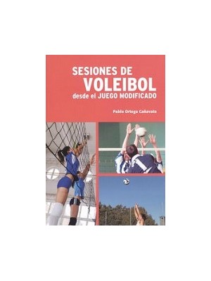 SESIONES DE VOLEIBOL.
