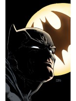 BATMAN: YO SOY GOTHAM (DC POCKET)
