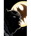 BATMAN: YO SOY GOTHAM (DC POCKET)