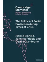 POLITICS OF SOCIAL PROTECTION DURING TIMES OF CRISIS