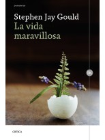 VIDA MARAVILLOSA, LA