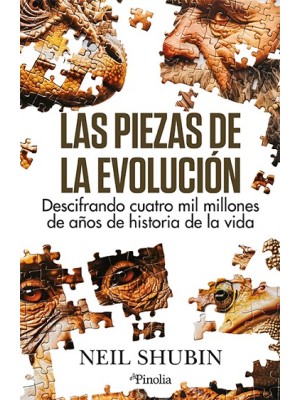 PIEZAS DE LA EVOLUCION, LAS