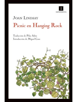 PICNIC EN HANGING ROCK