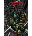 TORTUGAS NINJA: LA SERIE ORIGINAL VOL. 4 DE 6