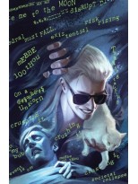 UNIVERSO SANDMAN PAÍS DE PESADILLAS VOL. 2 LA CASA DE CRISTAL