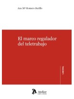 MARCO REGULADOR DEL TELERABAJO