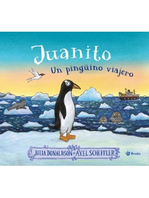 JUANITO, UN PINGÜINO VIAJERO