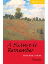 A PICTURE TO REMEMBER LEVEL 2