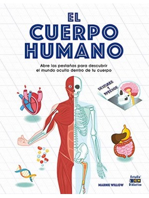 CUERPO HUMANO, EL