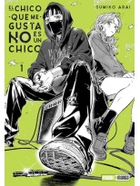 CHICO QUE ME GUSTA NO ES UN CHICO EL N 01