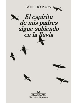 ESPÍRITU DE MIS PADRES SIGUE SUBIENDO EN LA LLUVIA, EL