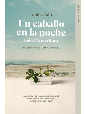 CABALLO EN LA NOCHE, UN