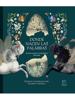 DONDE NACEN LAS PALABRAS