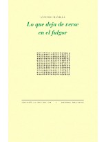 LO QUE DEJA DE VERSE EN EL FULGOR