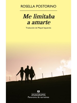 ME LIMITABA A AMARTE